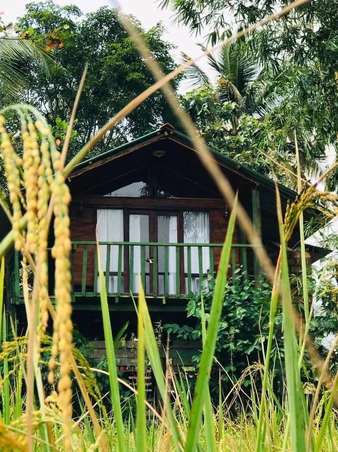 Bed and breakfast Airport Villa Kamatha -Foreign Booking Only Katunayaka